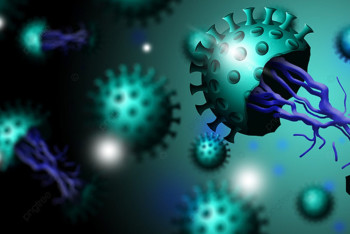 Фотография к новости: В Казахстане ещё не выявили случаи заражения "кракеном" - Есмагамбетова