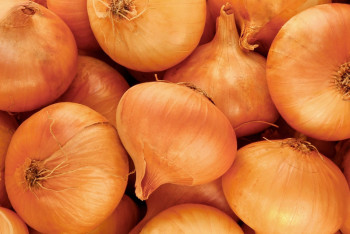 Лук в Казахстане может ещё подорожать - Жумангарин