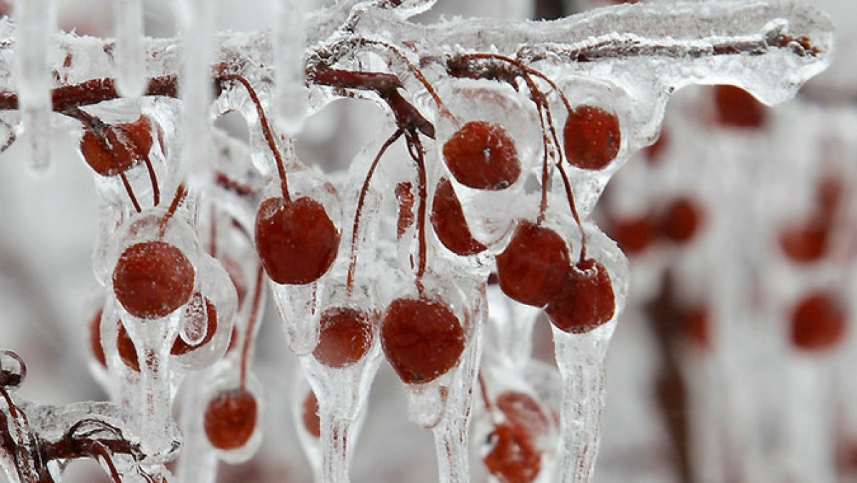 Иллюстративное фото