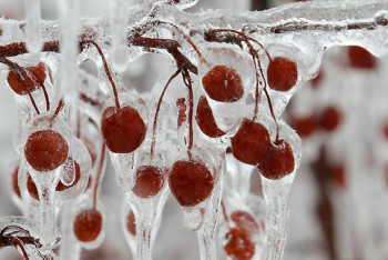 Фотография к новости: Плюсовую температуру прогнозируют синоптики в нескольких регионах Казахстана