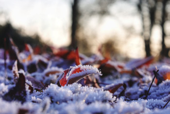 Фотография к новости: Потепление прогнозируют синоптики в Казахстане