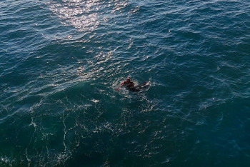 Фотография к новости: В Актау водолаз спас женщину, прыгнув с восьмиметровой высоты