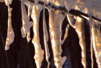 Фотография к новости: До плюс 12 градусов потеплеет в некоторых регионах Казахстана