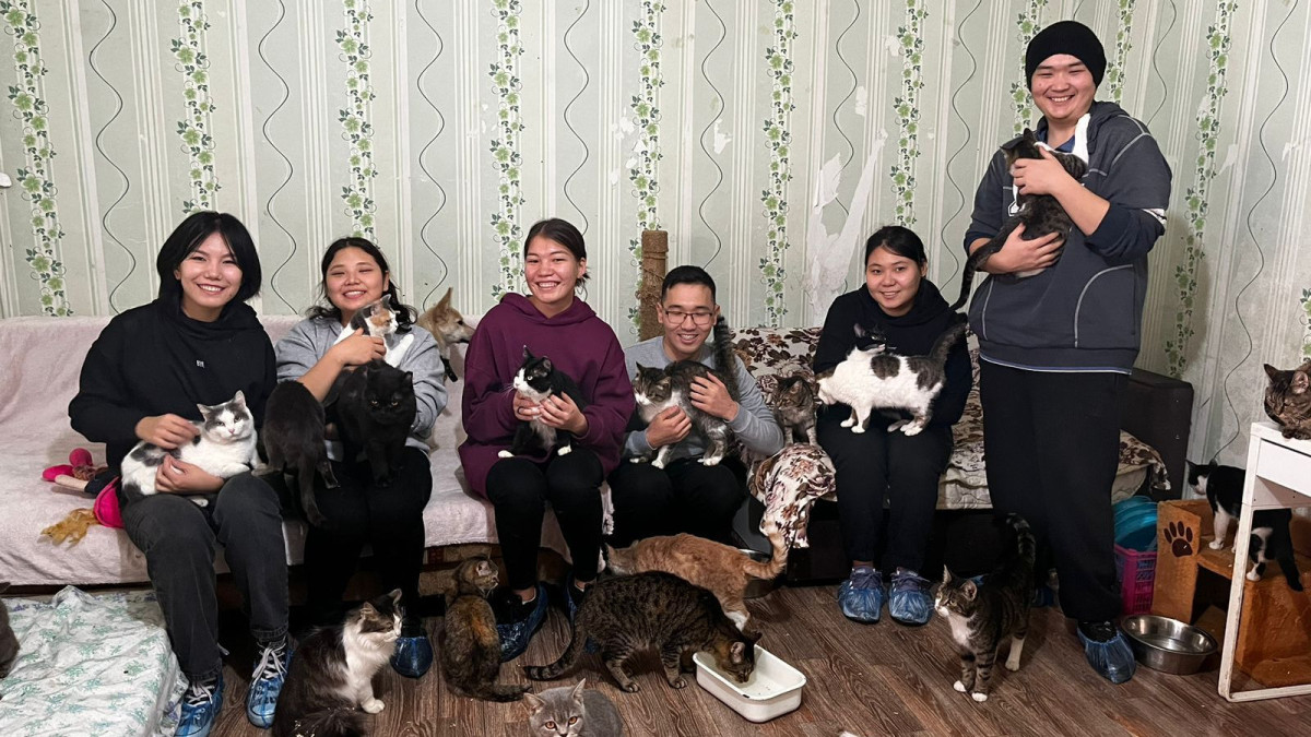 предоставлено героем статьи