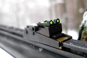 Фотография к новости: Перепутал с косулей: В СКО суд вынес приговор мужчине, застрелившему женщину в лесу