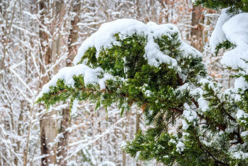 Фотография к новости: Сильные осадки прогнозируют синоптики в Казахстане
