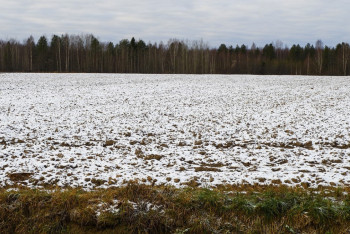 Фотография к новости: Земли Болата Назарбаева вернули государству