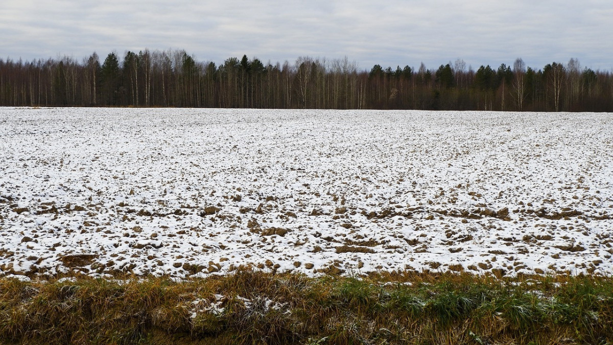 pixabay.com / иллюстративное фото