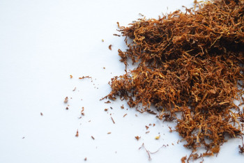 Фотография к новости: Турция вводит запрет на ввоз необработанного табака из Казахстана