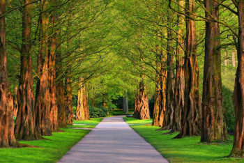 Фотография к новости: Один из парков вернули в госсобственность в Алматы
