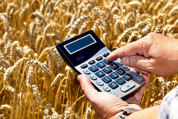 Фотография к новости: В Минсельхозе разъяснили субсидирование ставок при кредитовании АПК