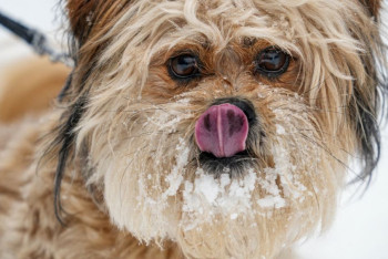Фотография к новости: Штормовое предупреждение объявлено в семи регионах Казахстана