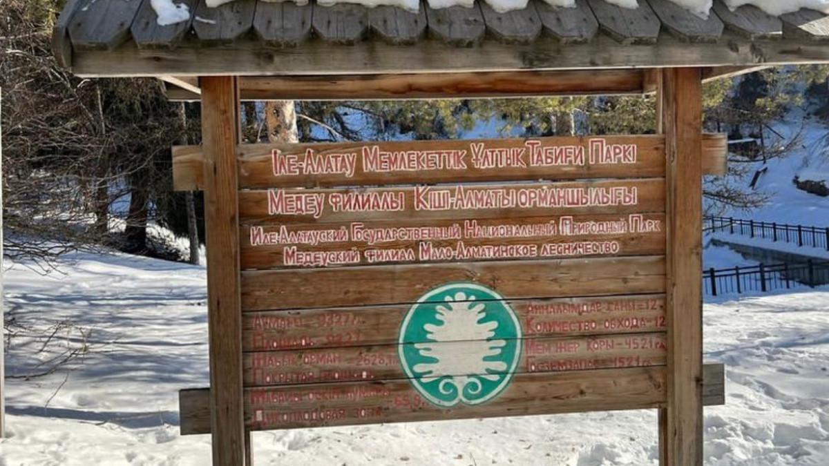 Новый КПП установили в Иле-Алатауском нацпарке в Алматы