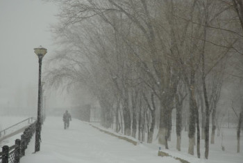 Фотография к новости: На дистанционку перевели школьников и студентов колледжей в Атырауской области