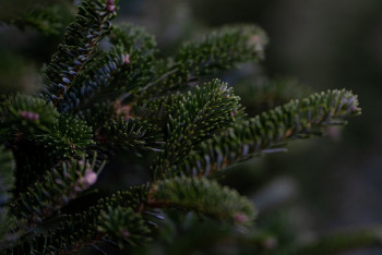 Фотография к новости: Какой будет погода в Казахстане до 10 февраля