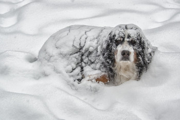 Фотография к новости: Штормовое предупреждение на понедельник объявили в шести регионах страны