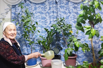 Фотография к новости: 100 матерей-героинь живёт в уникальном селе в Кызылординской области