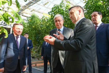 Фотография к новости: Президент оценил качество овощей из теплицы в Акмолинской области