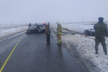 Фотография к новости: Жуткое ДТП на трассе в Атырауской области: погибли два человека