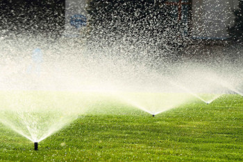 Фотография к новости: Фермеры переплачивали миллионы за воду в Алматинской области