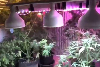 Фотография к новости: Нарколабораторию на крыше многоэтажки устроил житель Уральска