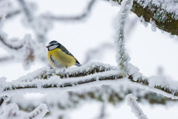 Фотография к новости: На большей части Казахстана объявлено штормовое предупреждение