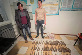 Фотография к новости: 76 рогов сайги обнаружили у жителя Актюбинской области