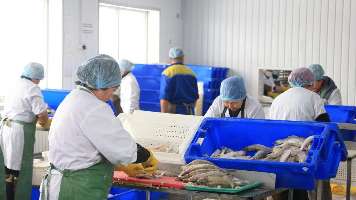 акимат области Жетысу