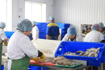 Фотография к новости: Детское питание из рыбы начали производить в Казахстане