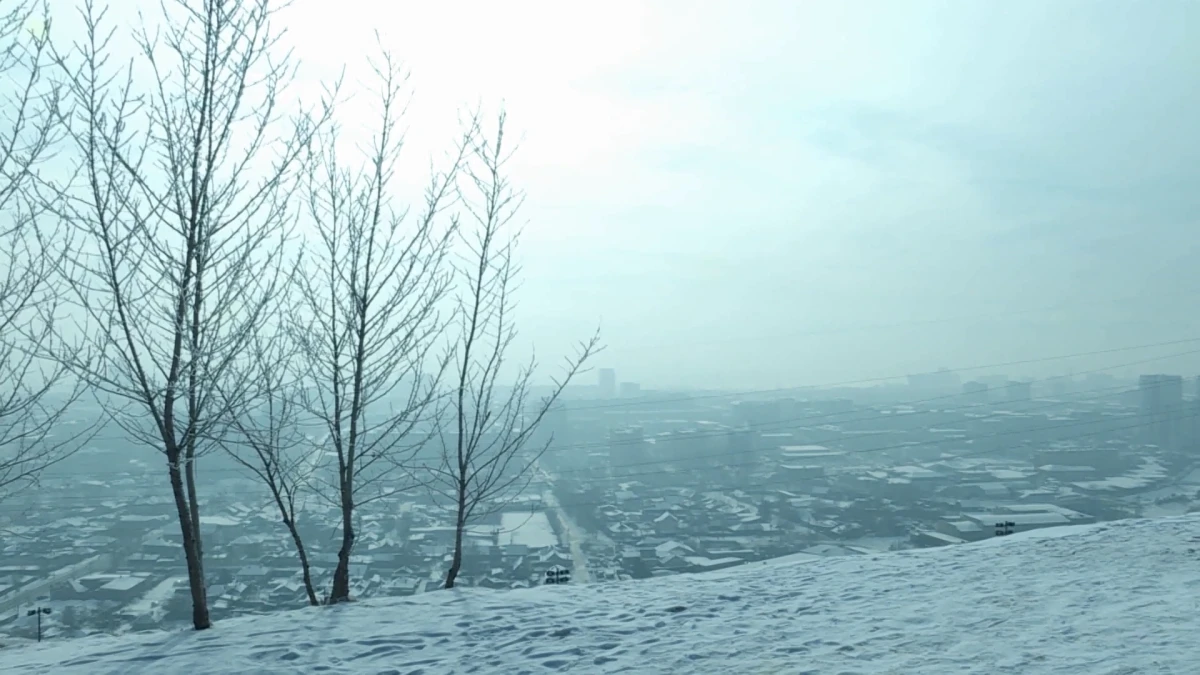 smotrim.ru