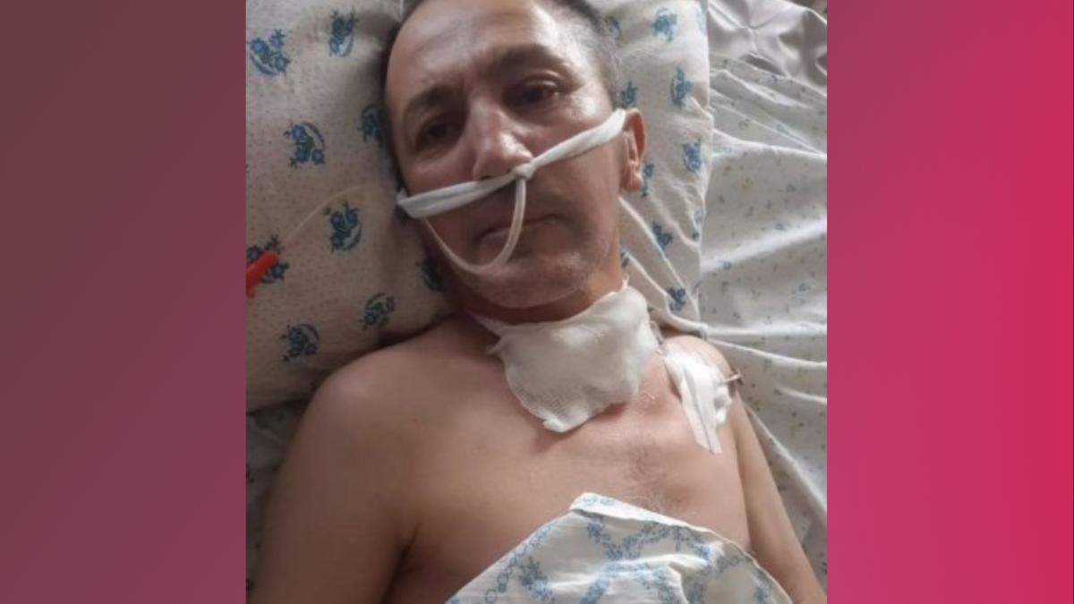 предоставлено волонтёрами