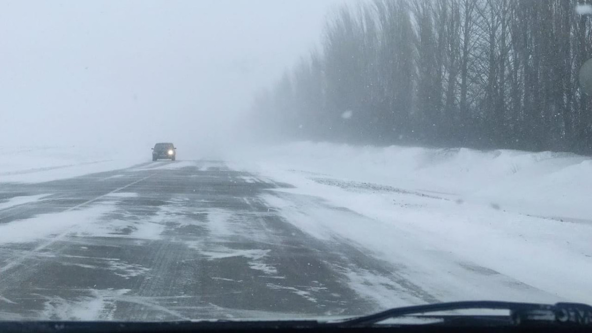 gtrkkursk.ru