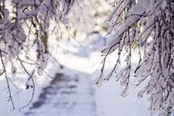 Фотография к новости: Циклон с большими запасами влаги надвигается на Казахстан