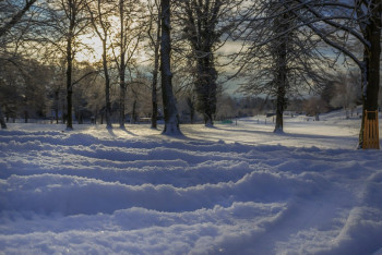 Фотография к новости: В Северо-Казахстанской области обнаружили тело мужчины в сугробе