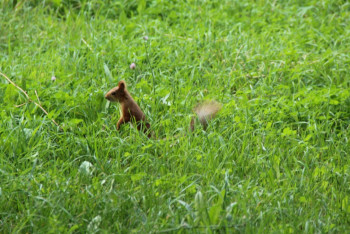 Фотография к новости: Прокуратура снизила цены на билеты в Ботанический сад Алматы