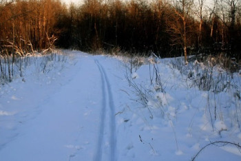 Фотография к новости: Мужчина замёрз насмерть в степи в Карагандинской области