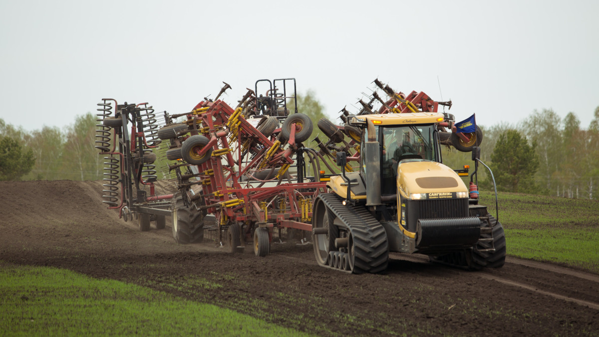 commons.wikimedia.org