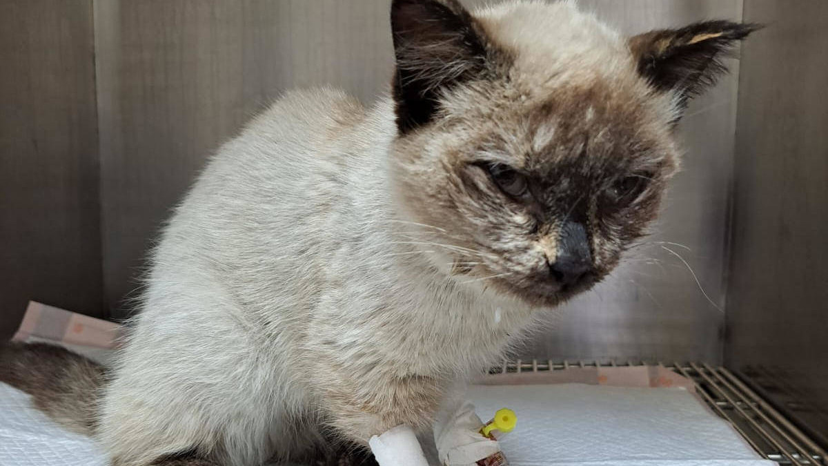 Лариса Прокопьева