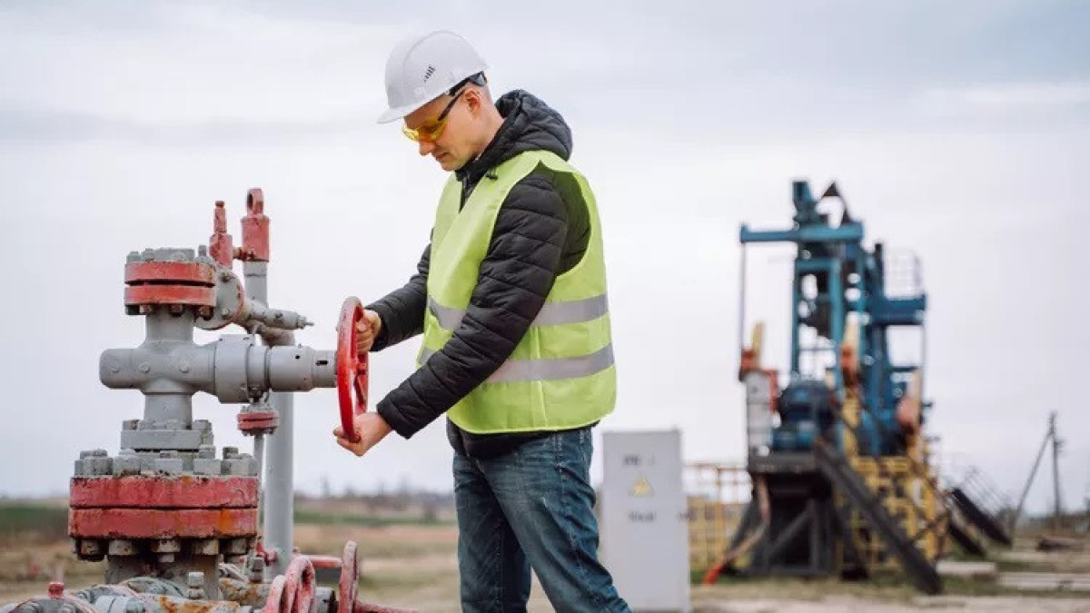 Getty Images/Olga Rolenko