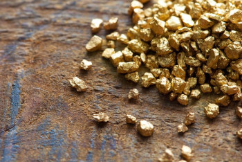 Фотография к новости: Нелегальный цех по переработке золотой руды работал в Жамбылской области