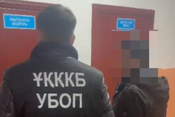 Фотография к новости: Избили и забрали лошадь: трёх жителей Туркестанской области арестовали за самоуправство