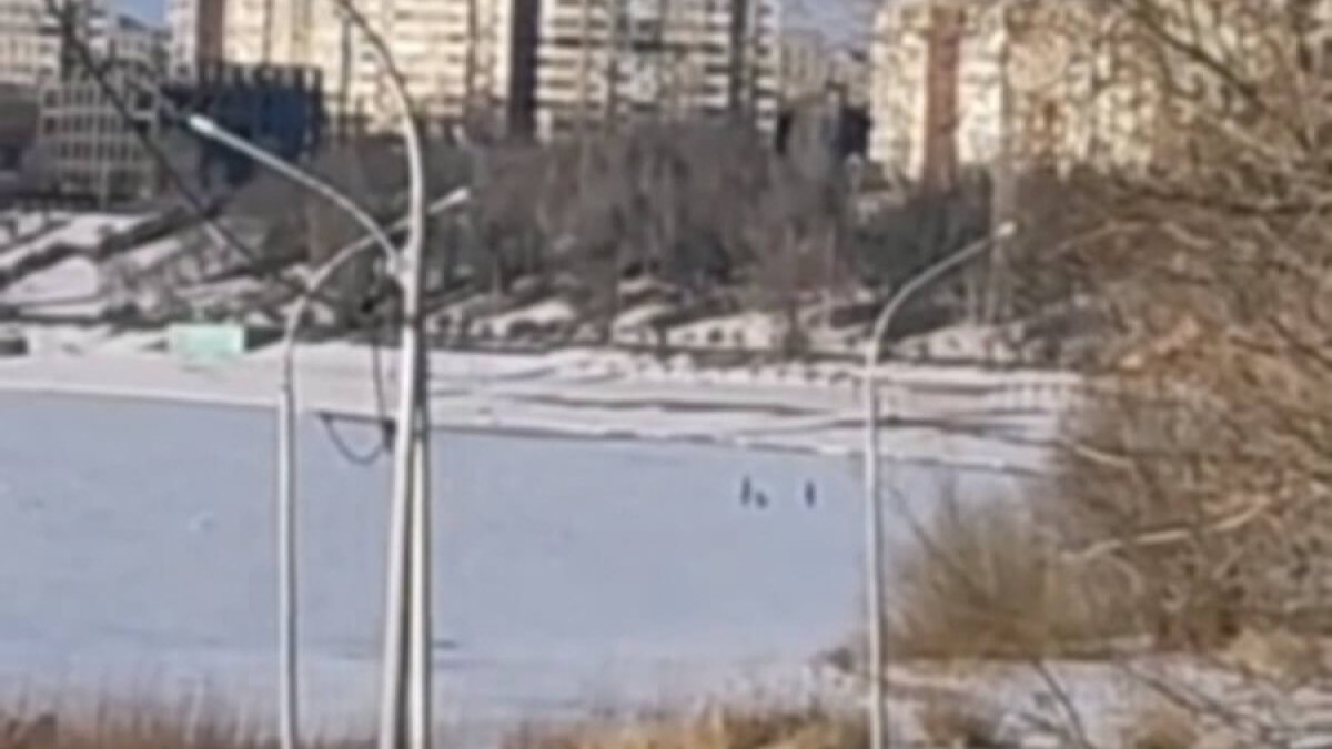 кадр из видео