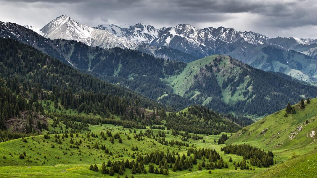 Минэкологии и природных ресурсов РК