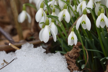 Фотография к новости: Потепление ожидают в Казахстане