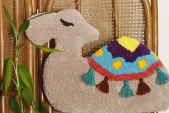 Фотография к новости: Страусиное мясо, моторные лодки и необычные ковры - какими проектами удивляют кызылординские бизнесмены