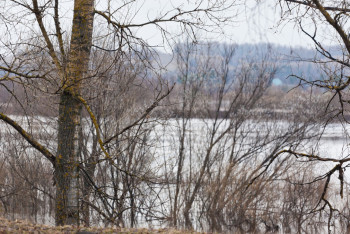 Смаилов раскритиковал работу акимов по вывозу снега