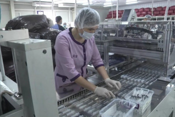 Фотография к новости: В Атырау может закрыться единственный завод по производству медицинских шприцев