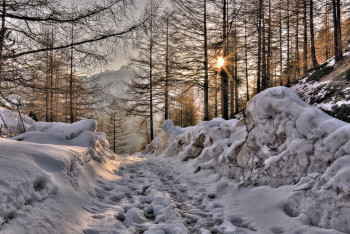 Фотография к новости: Какой погоды ждать казахстанцам в марте