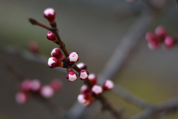 Фотография к новости: До плюс 24 градусов потеплеет в Казахстане - прогноз погоды на выходные