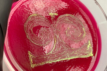 Фотография к новости: Как столичный биолог рисует казахские узоры с помощью бактерий